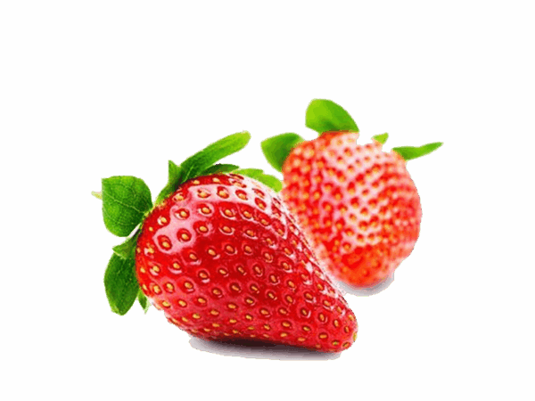 h3-product13