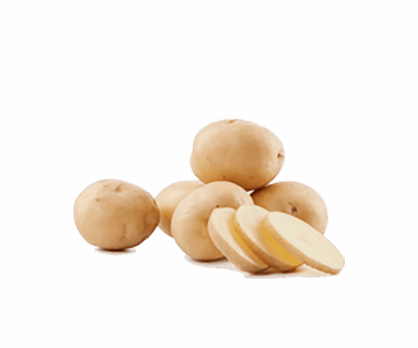 h3-product8